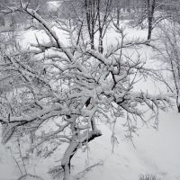 Солодкі спогади про позаминулорічний (березневий!) сніг.... Sweet flashbacks about last years (March!) snow...., Ковель