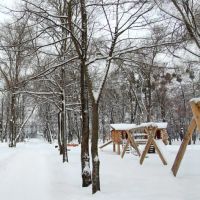Перший сніг у міському парку_First snow in the city park, Ковель