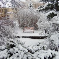 Чарівна лавочка в зимовому парку_magic winter park bench, Ковель