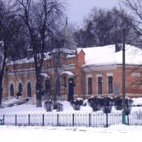 Зимовий вокзал, Маневичи