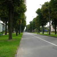 Бульвар Шевченка, Нововолынск