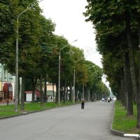Бульвар Шевченка, Нововолынск