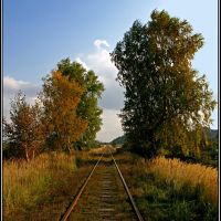 Дорога в осінь...  Droga do jesieni...  A road is in an autumn..., Нововолынск