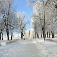 У міському парку / In the city park, Нововолынск