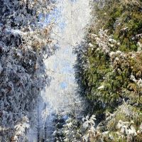 Зимовий пейзаж / Winter Landscape, Нововолынск