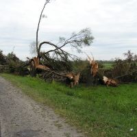 Після бурі 2007/07. After the tornado 2007/07., Турийск