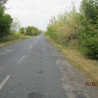Дорога в Александрополь, Брагиновка