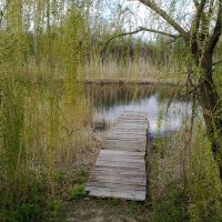 Весна на реке Бык, Брагиновка