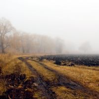 в туман, Горняцкое