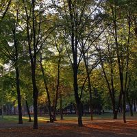 Autumn - Осень, Днепропетровск