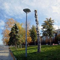 Из жизни фонарей и деревьев..., Днепропетровск