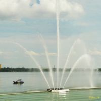 Light and music fountain "White Swan" near the hotel "Dnipropetrovsk" Светомузыкальный фонтан «Белый лебедь» вблизи отеля «Днепропетровск», Днепропетровск