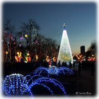 Дніпропетровськ, святкування Нового року, губернаторська ялинка *Dnepropetrovsk, New Year celebrations, Governors Tree, Днепропетровск