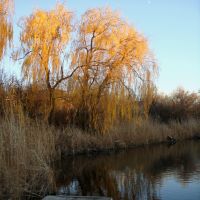 Поздняя осень на реке Сура, Калинино
