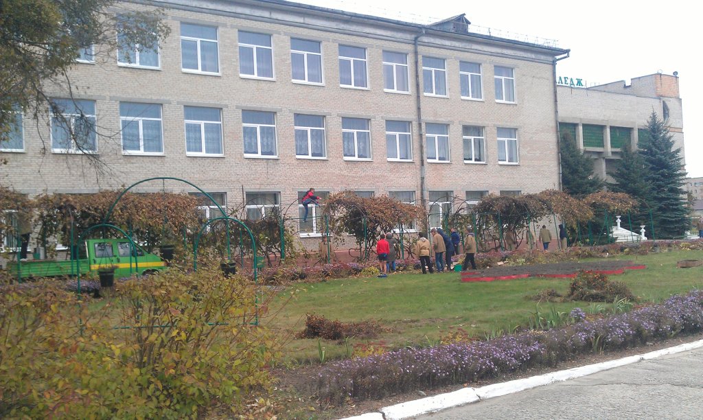 Сбор урожая винограда студентами колледжа электротехники октябрь 2016, Белоозерск