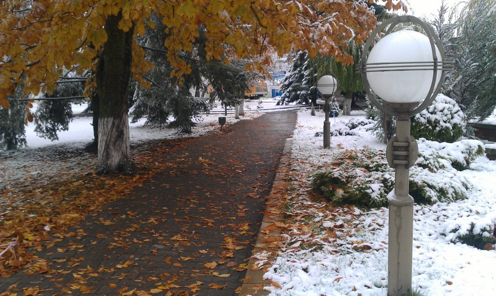 Первый снег-ноябрь 2016, Белоозерск