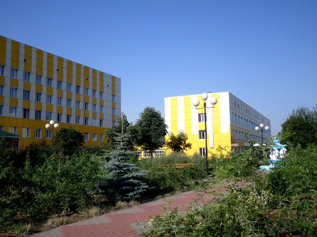 Волоконовская центральная районная больница, Волоконовка