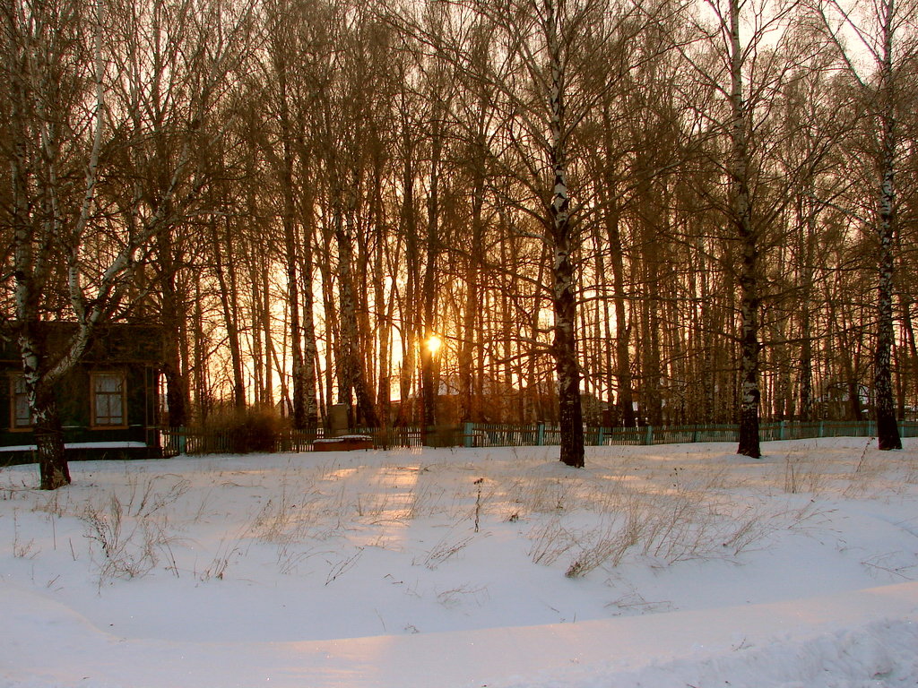Васильсурск-1-е января 2008г., Васильсурск
