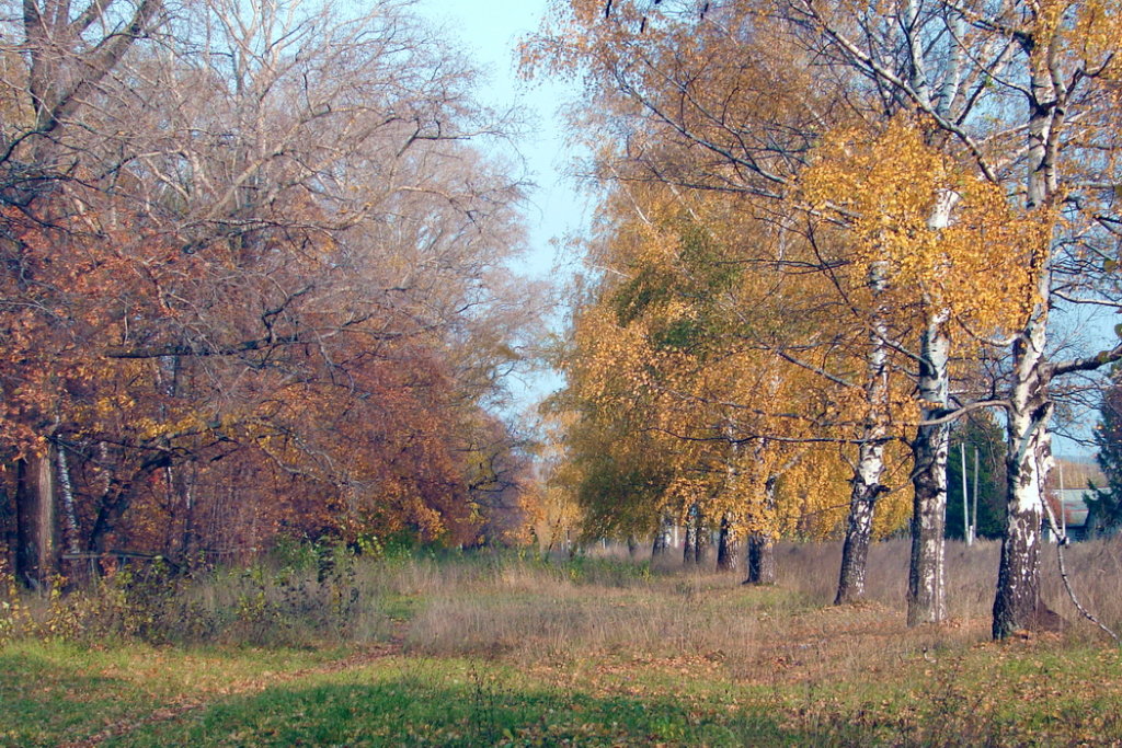Васильсурск_ул. Советская (у ДО №1)-октябрь 2011г., Васильсурск