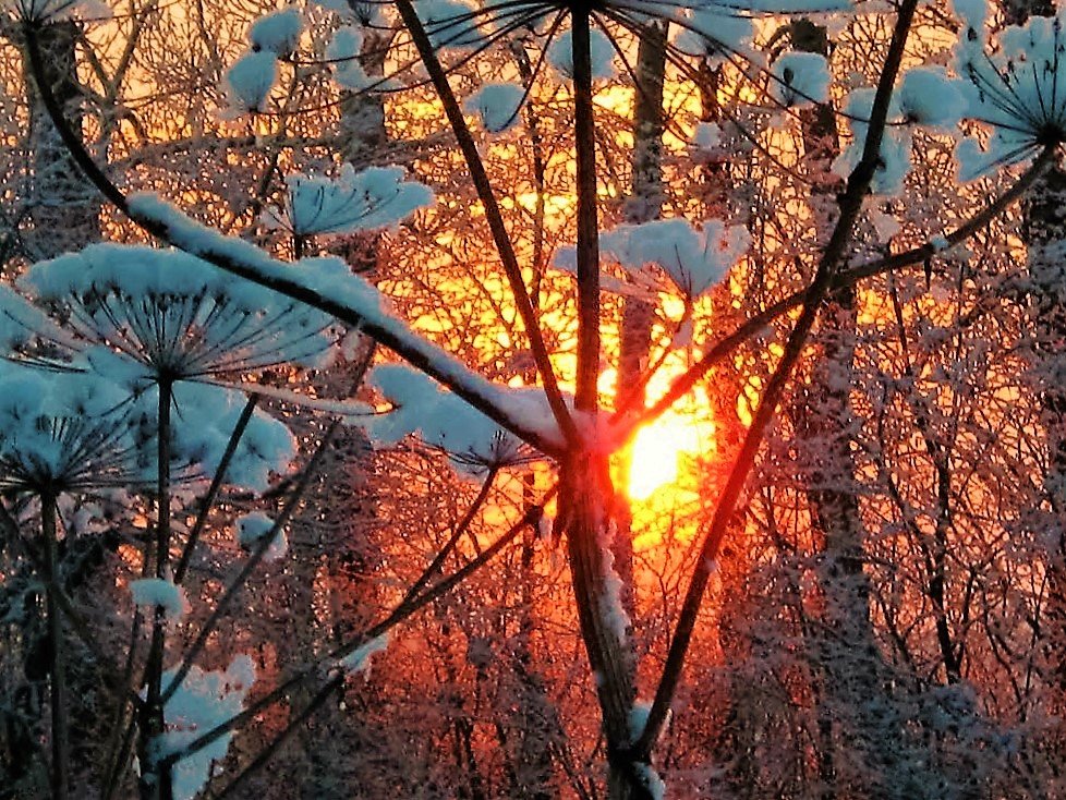 Зимнее солнцестояние, Гаврилов Посад