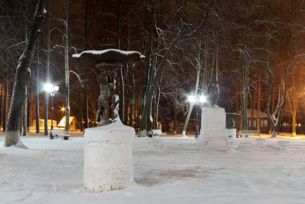 Городской парк, Шуя