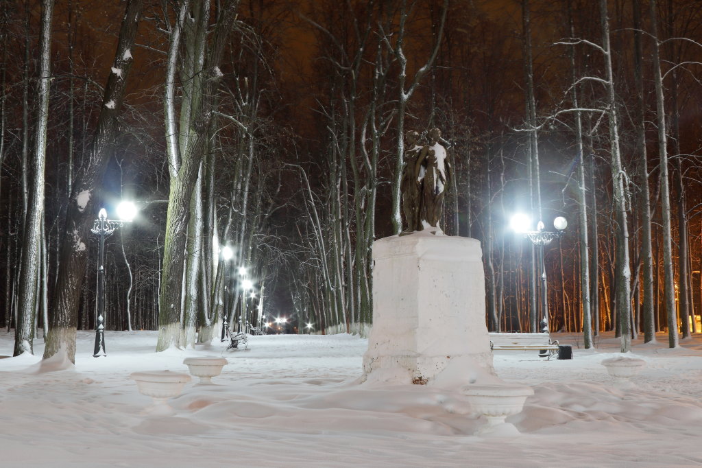 Городской парк, Шуя