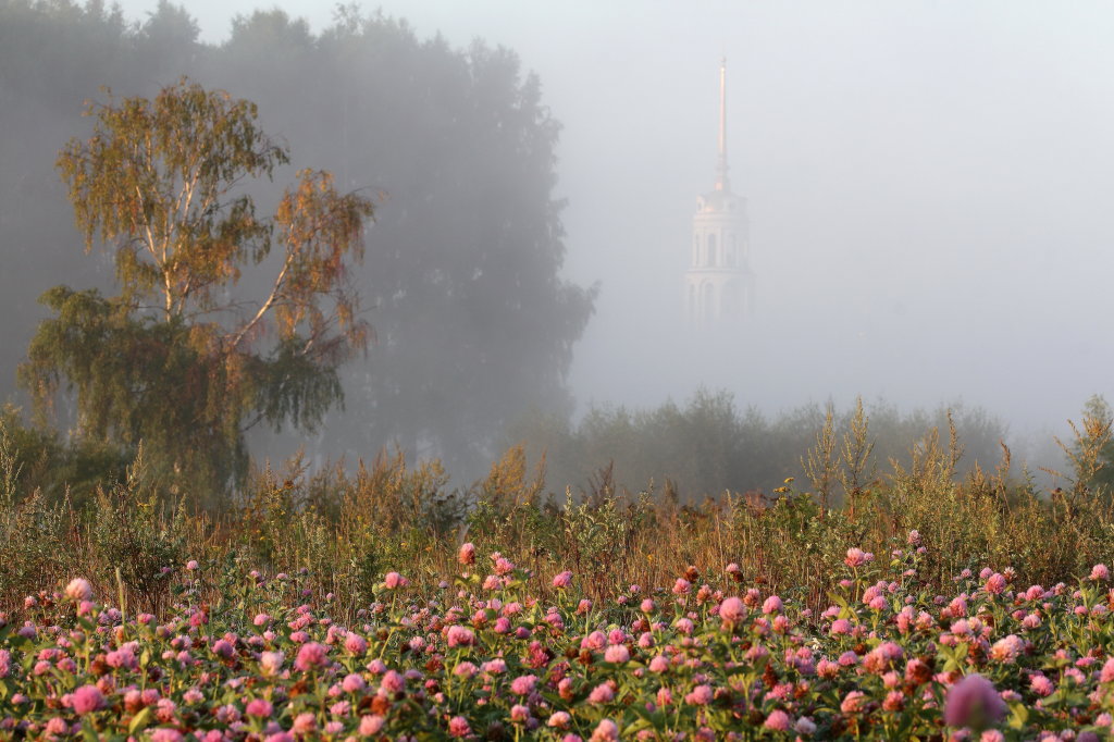Колокольня Воскресенского собора в тумане, Шуя