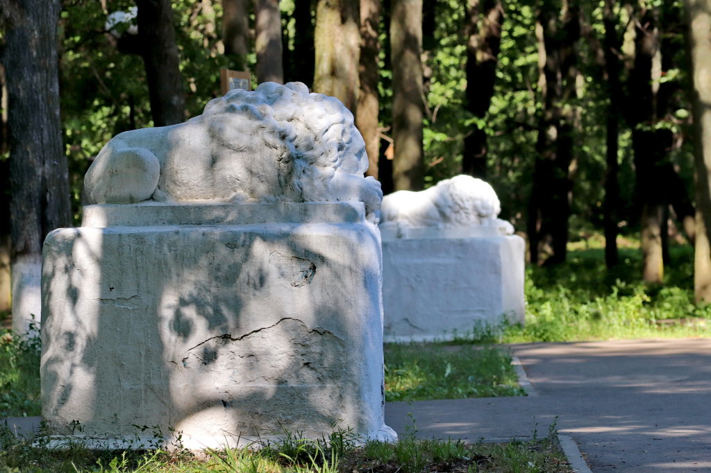 Львы на охране городского парка., Шуя