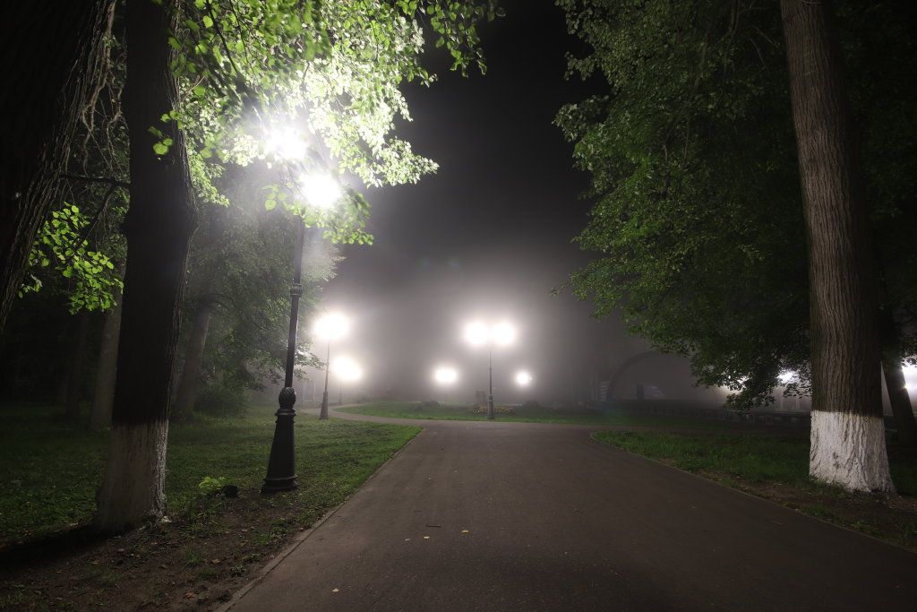 Туман в городском парке., Шуя
