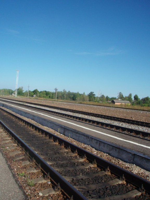 Железнодорожные пути, Спас-Деменск