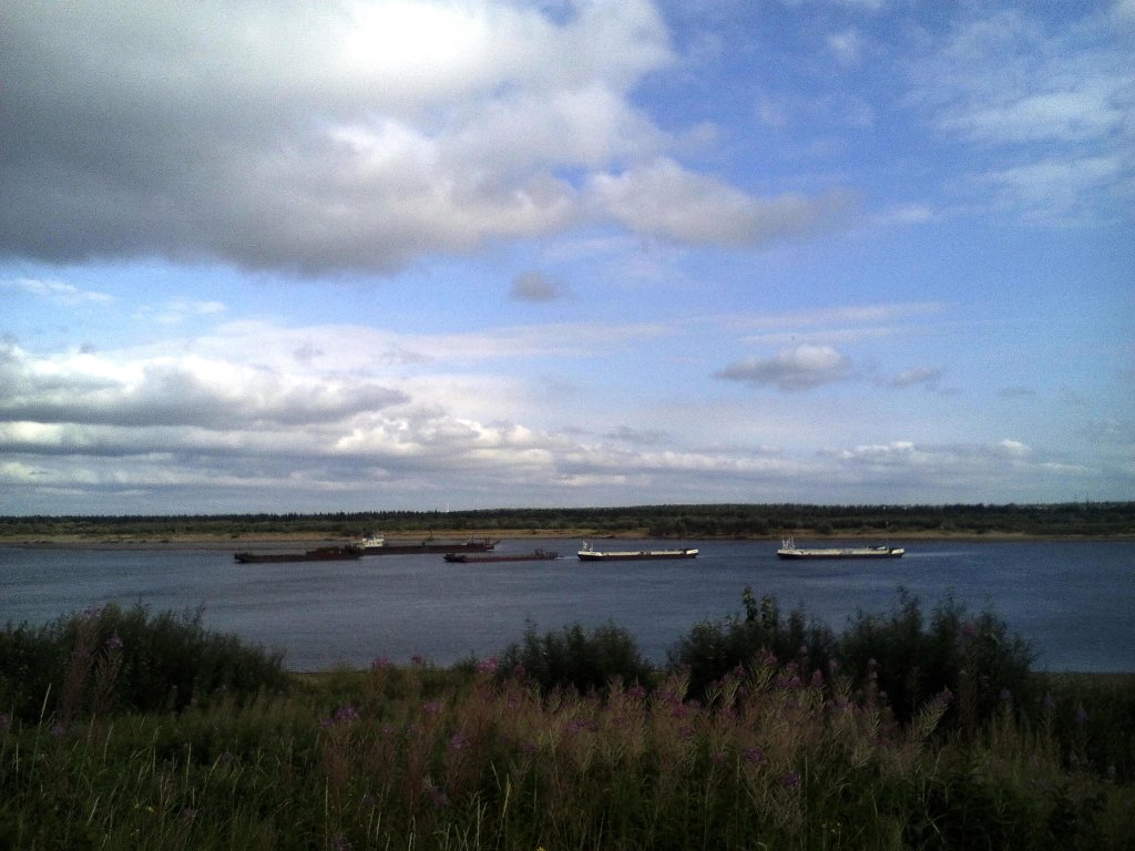 река Печора, Печора