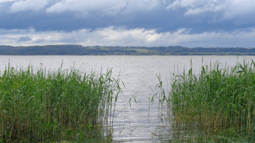 Галичское озеро, Галич