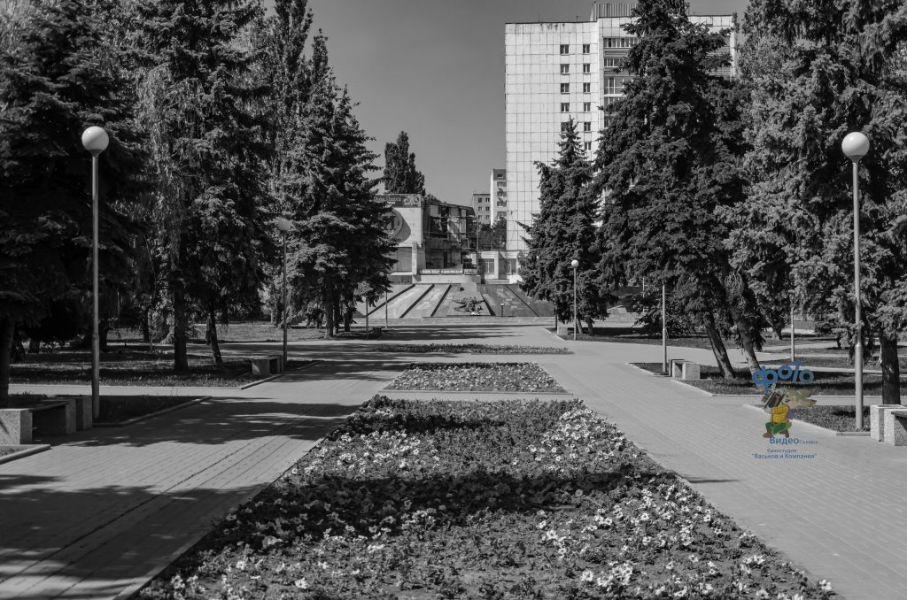 Памятник "Скорбящей матери". город Курск, Курск