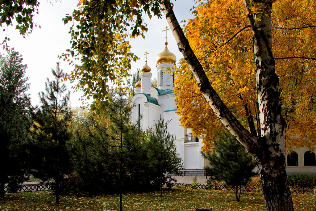 Осенний день, Тольятти