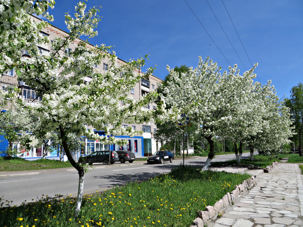 Улица Луначарского, Кушва