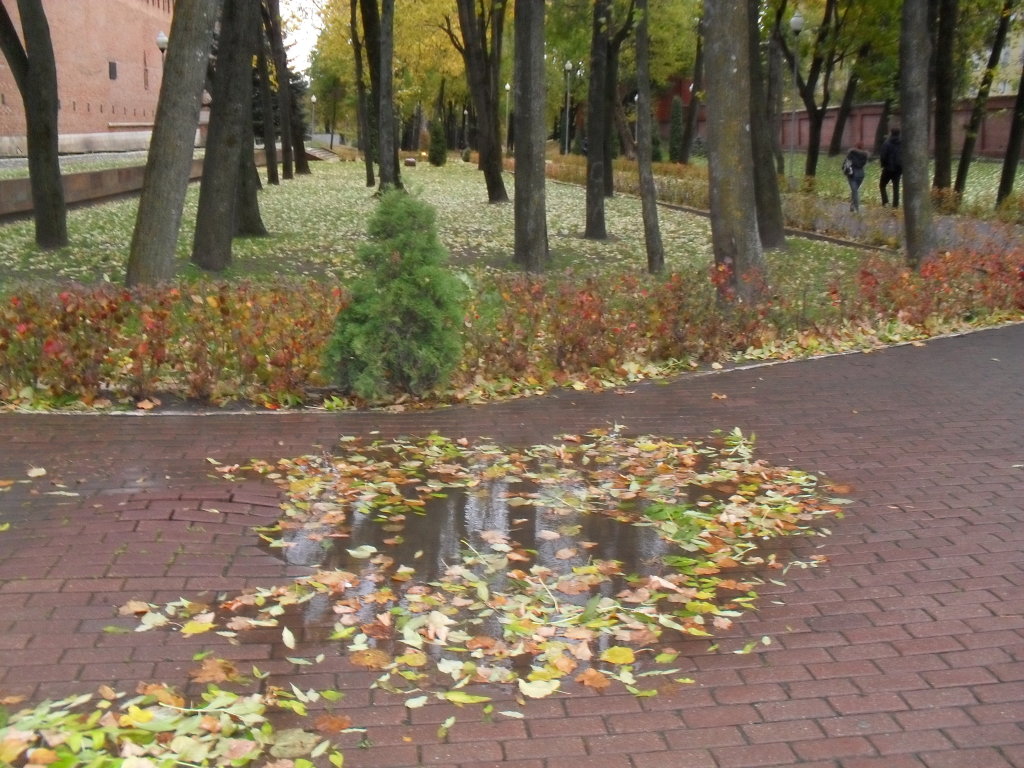 Осень в городе., Смоленск