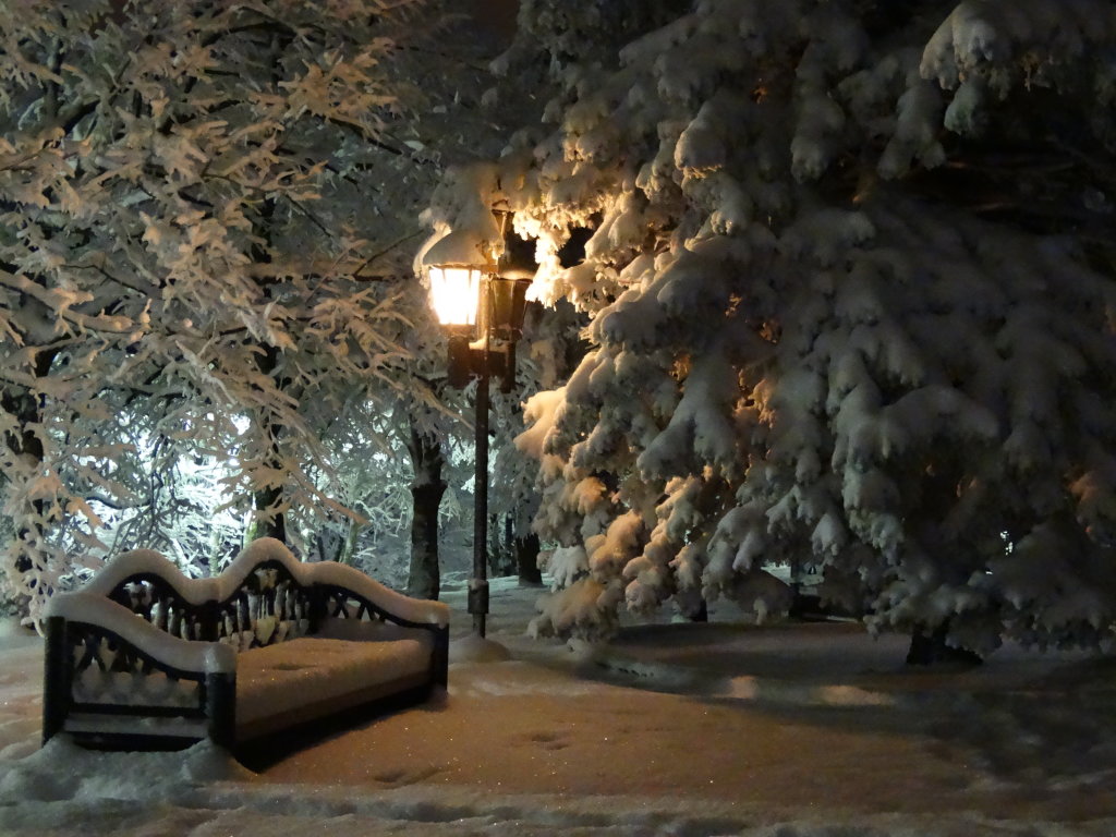 Зима, лермонтовский сквер, Железноводск