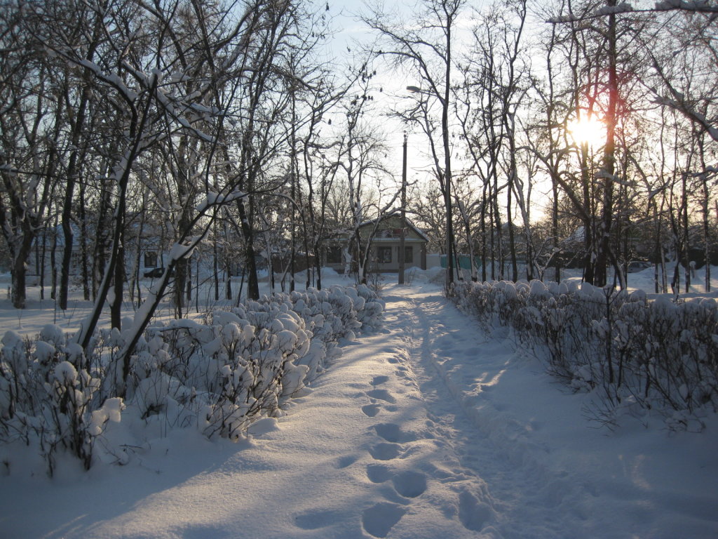 Зима в Буденновске, Буденновск