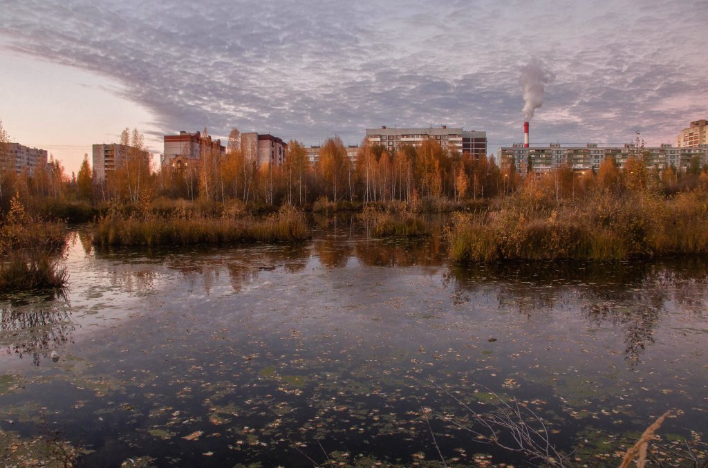 казань,водно-болотный комплекс   за п.победы, Казань