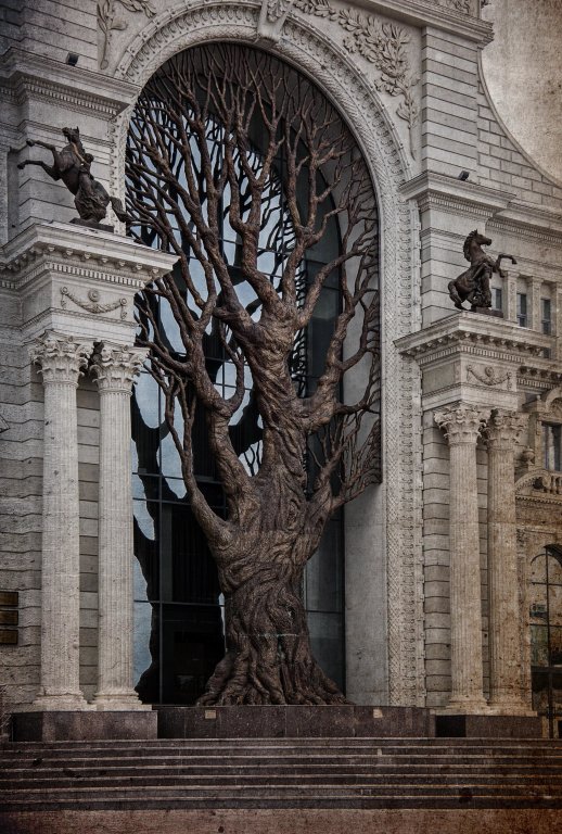 дерево  у  дворца земледельцев,казань, Казань