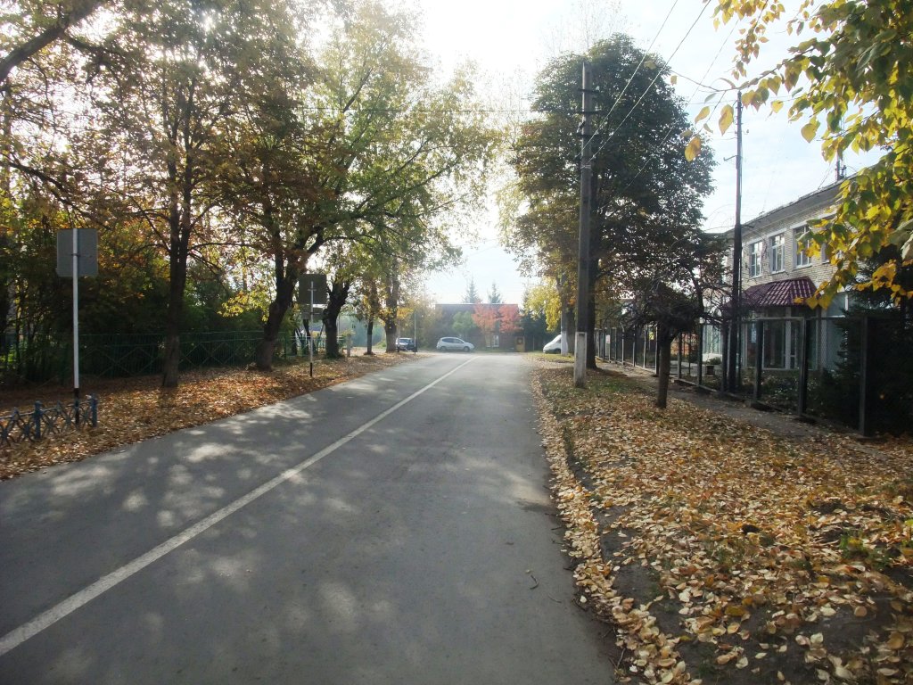 Улица Мира - осень, Болохово