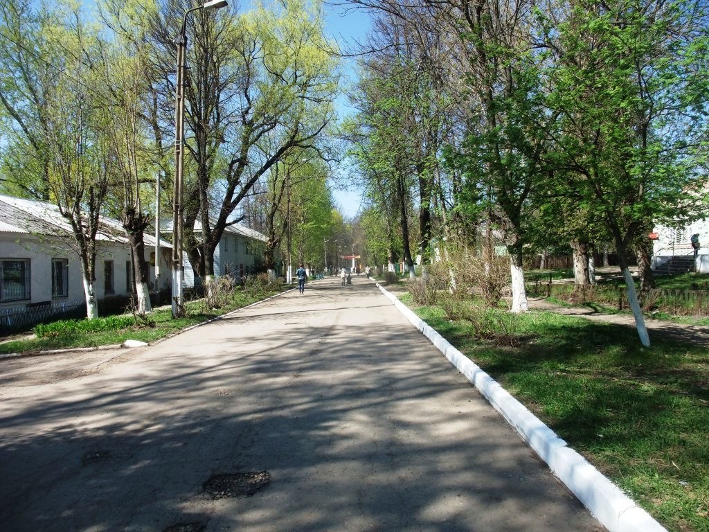 Улица Первомайская в мае, Болохово