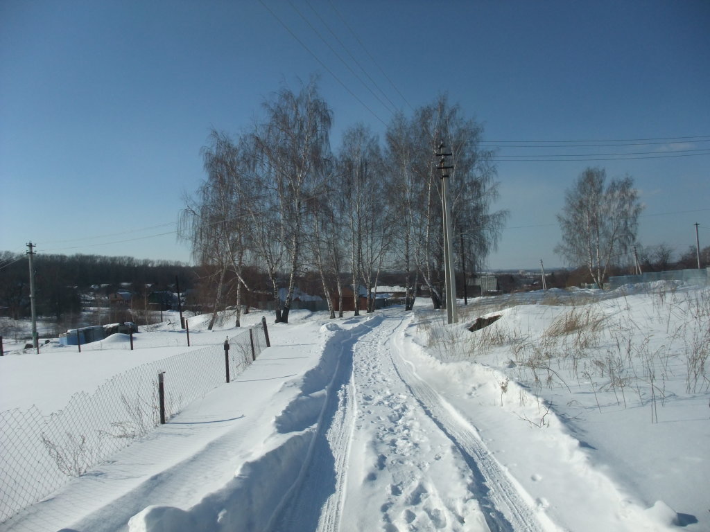 Улица Степная - зима, Болохово