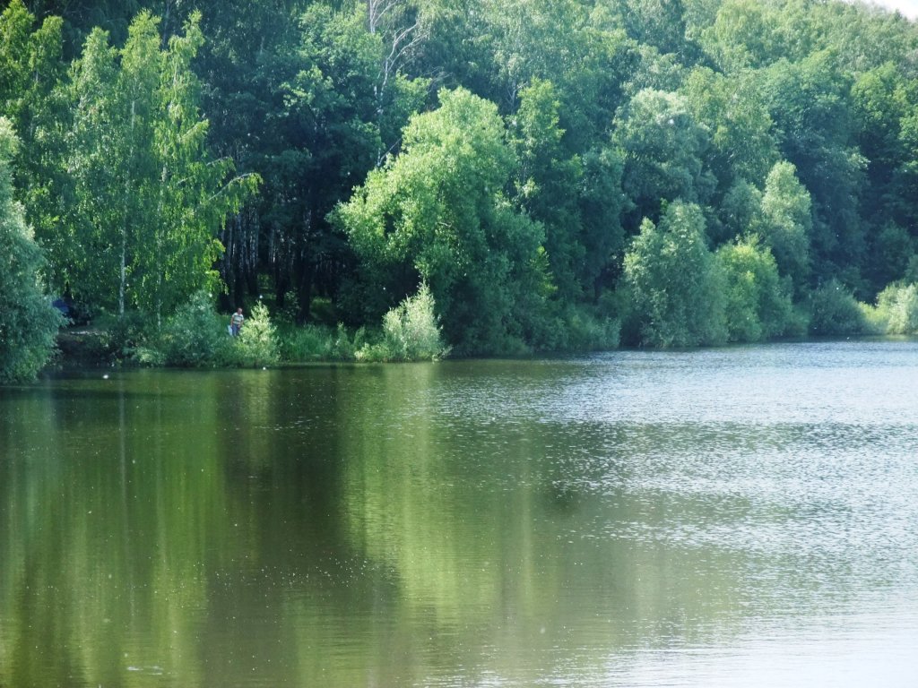 Берёзовый рай на воде, Болохово