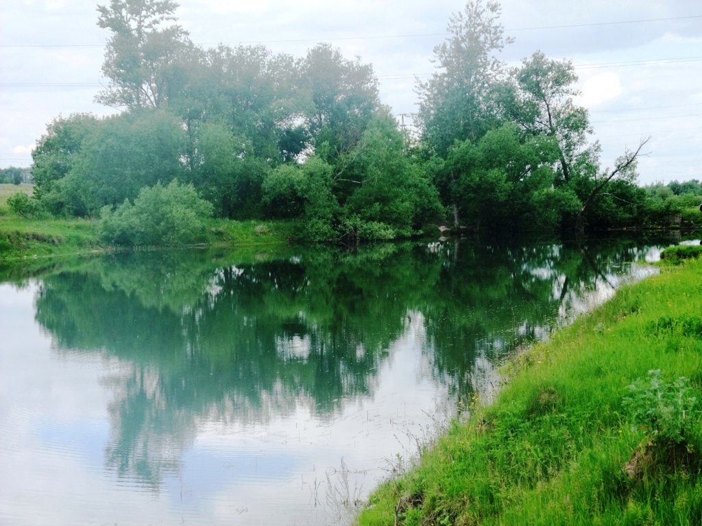 Красота сельской местности, Болохово