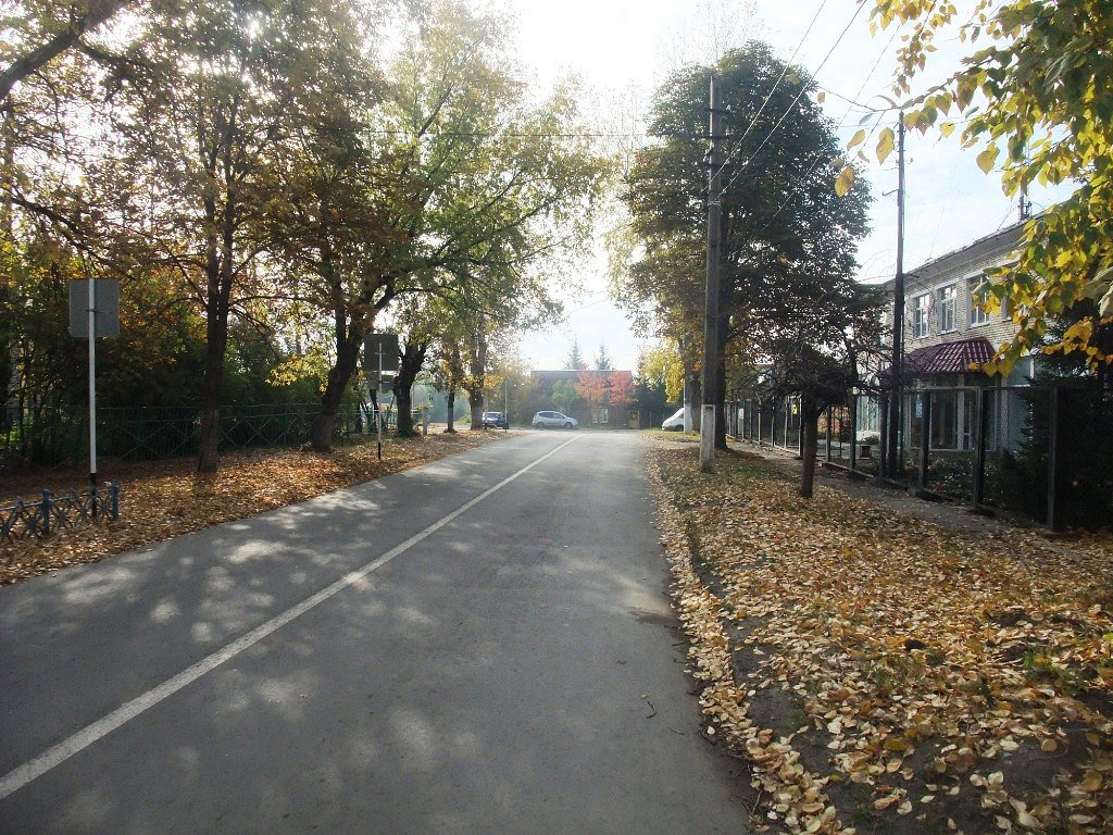 Осень, Болохово