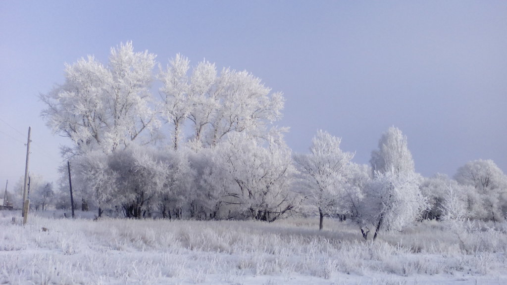 Зима в Узловой, Узловая
