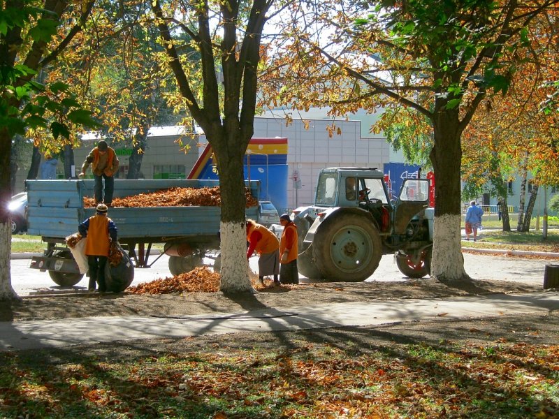Осенние хлопоты коммунальщиков, Харцызск