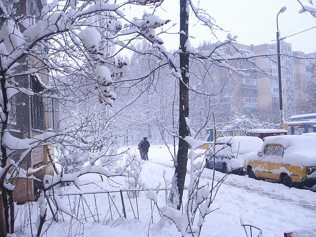 снега, Киев