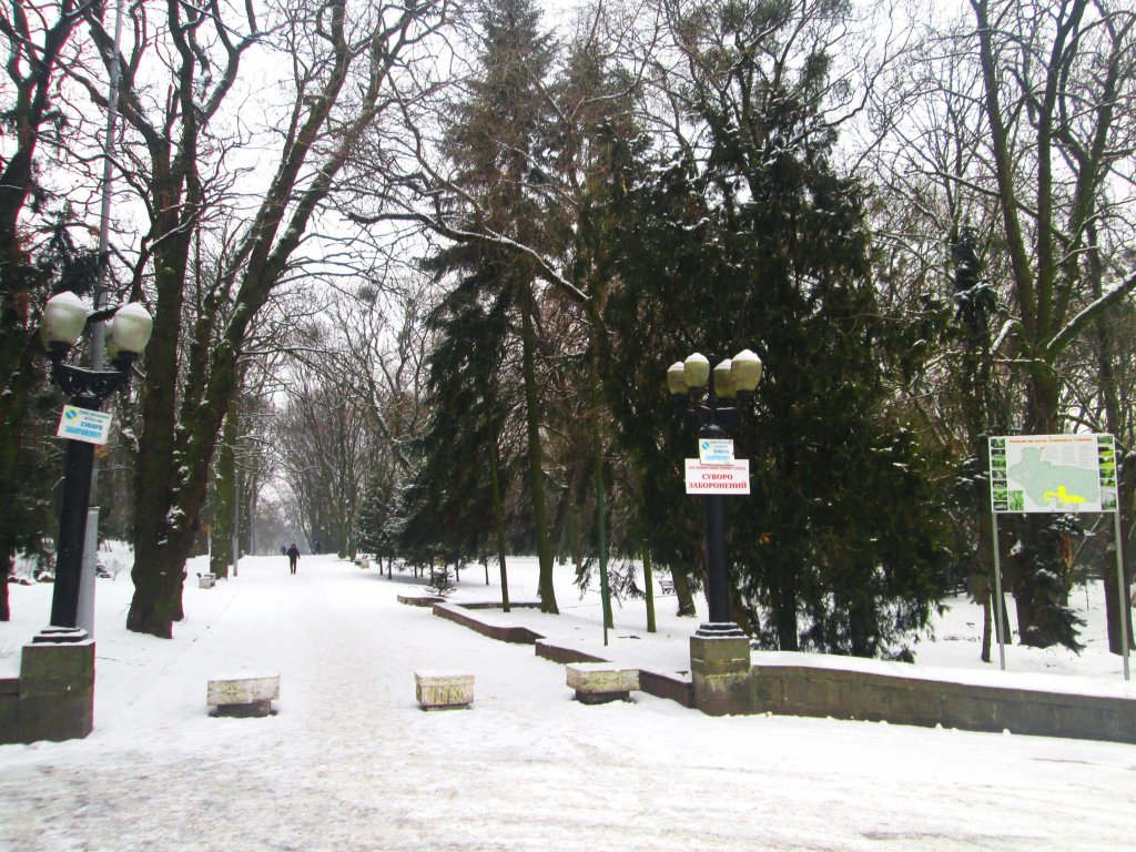 г Ровно -  Парк  Т.Г. Шевченко зимой, Ровно